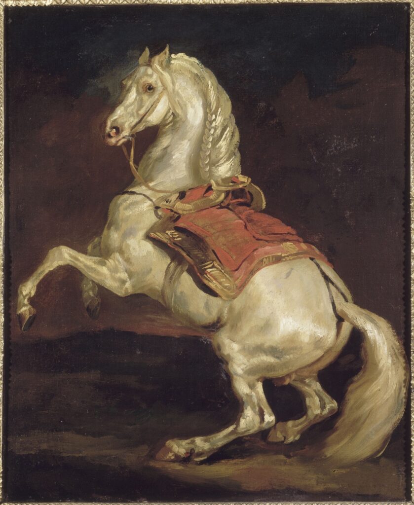 "Cheval Cabré dit Tamerlan," by Théodore Géricault, © RMN-Grand Palais / image RMN-GP