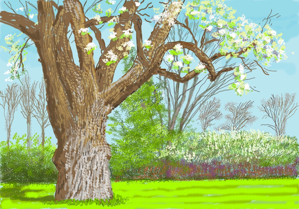 David Hockney 25